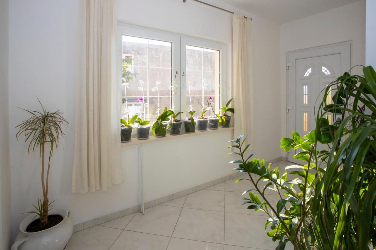 Villa Milenka - Apartmani Gorana Tučepi Buitenkant foto